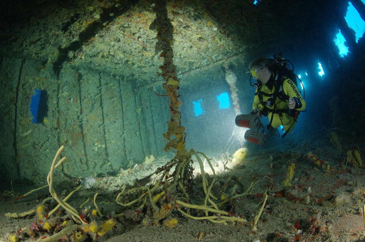 karibik_florida_key_largo_wrack_eagle11 | Nautilus Tauchreisen