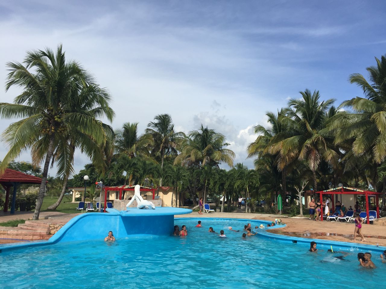 cuba_playa_larga_schweinebucht_tauchen_19 | Nautilus Tauchreisen