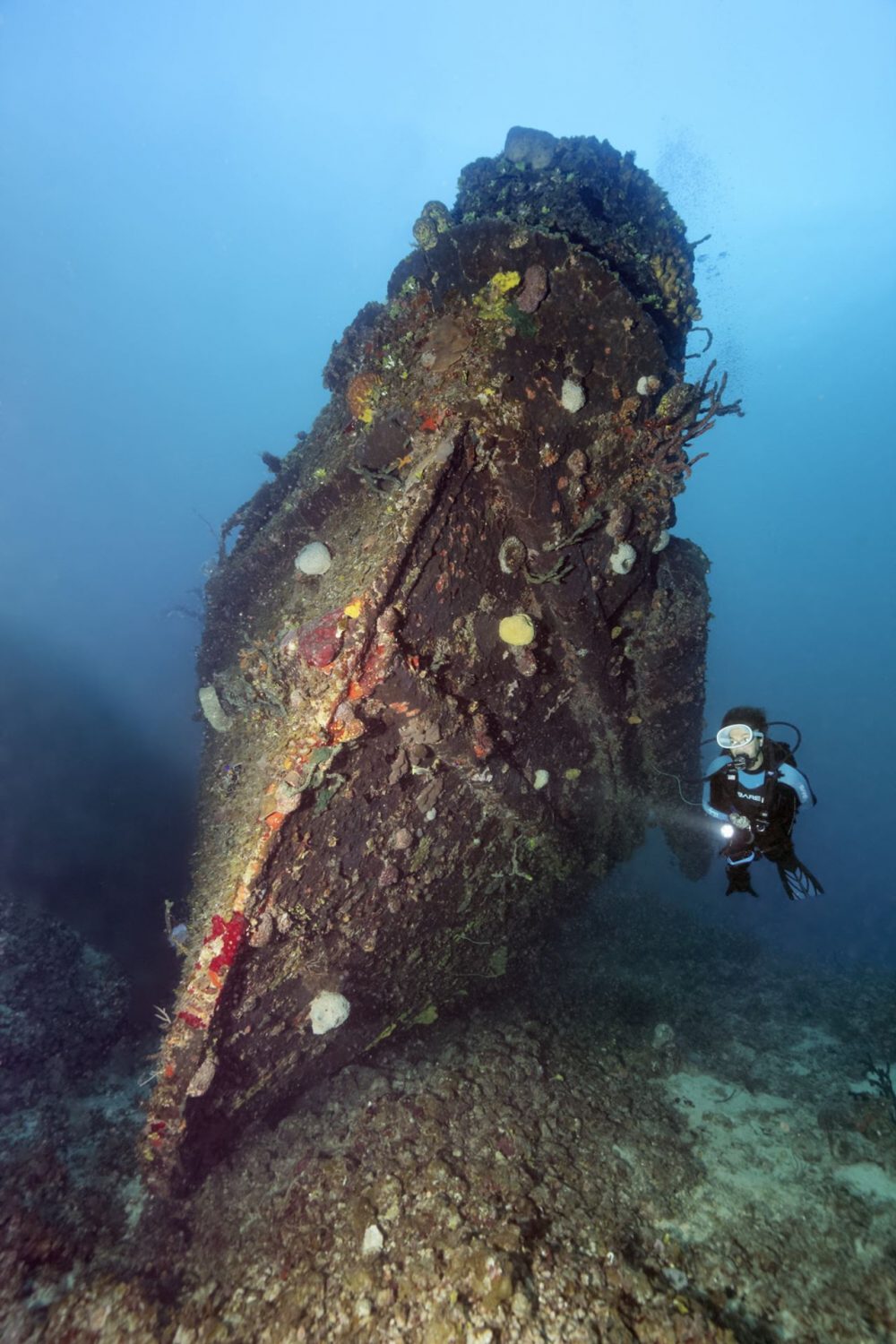 Santa Lucia Tauchen Scuba Korallen Cuba Karibik 10 Nautilus Tauchreisen