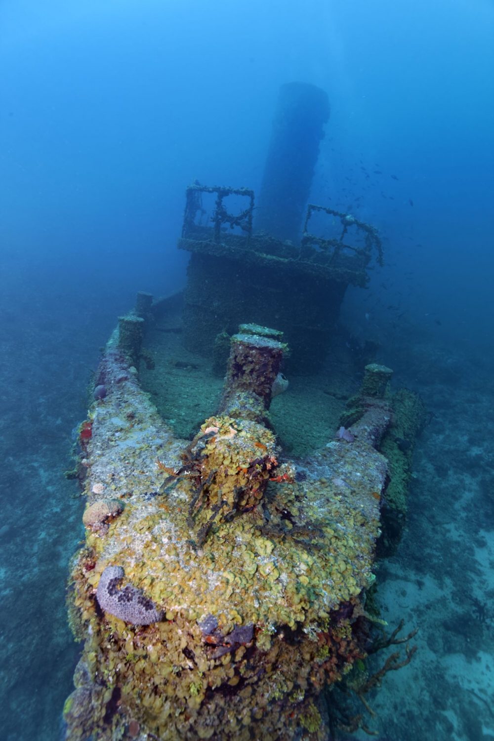 Santa Lucia Tauchen Scuba Korallen Cuba Karibik 14 Nautilus Tauchreisen