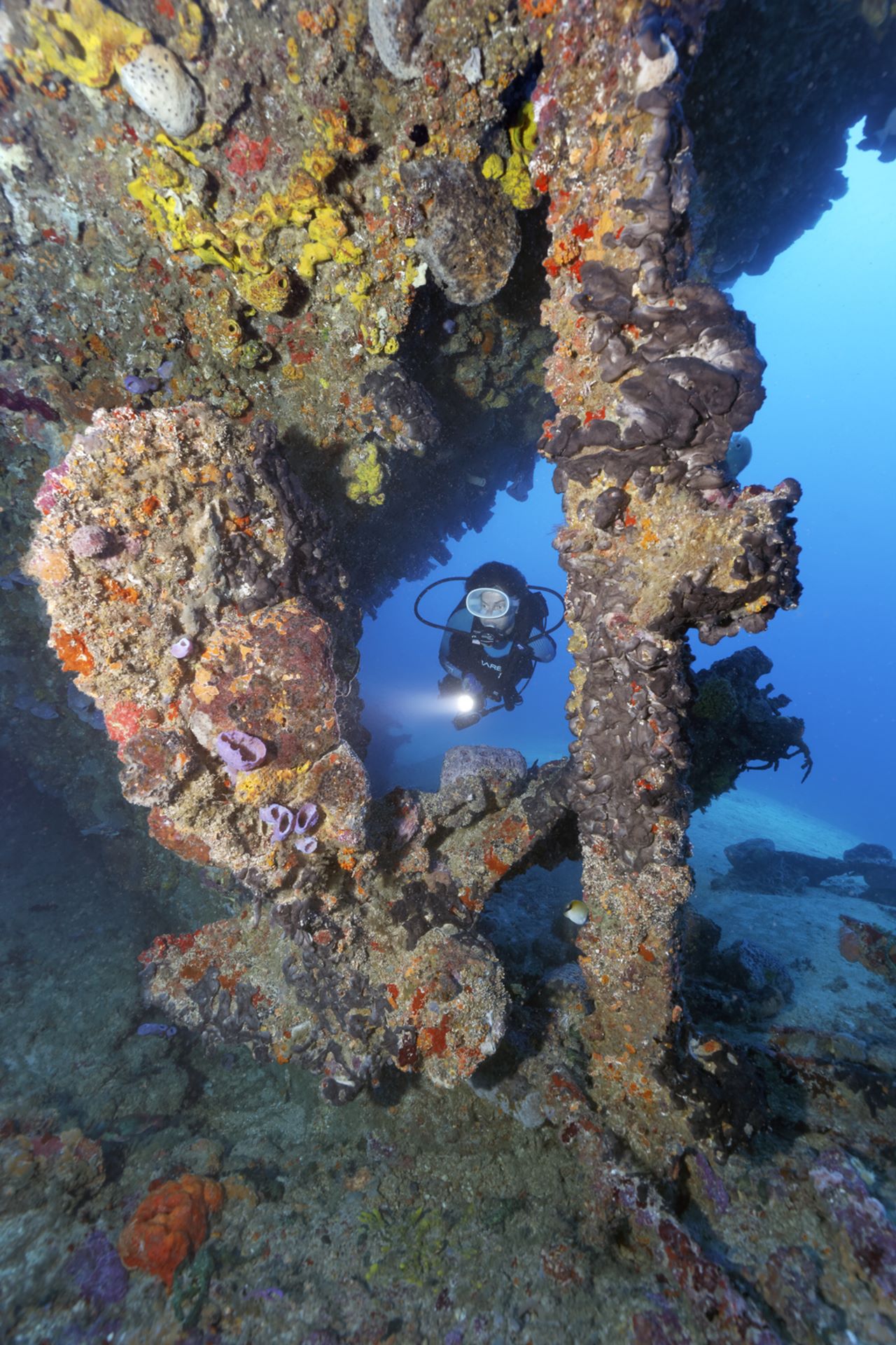 Santa Lucia Tauchen Scuba Korallen Cuba Karibik 25 Nautilus Tauchreisen