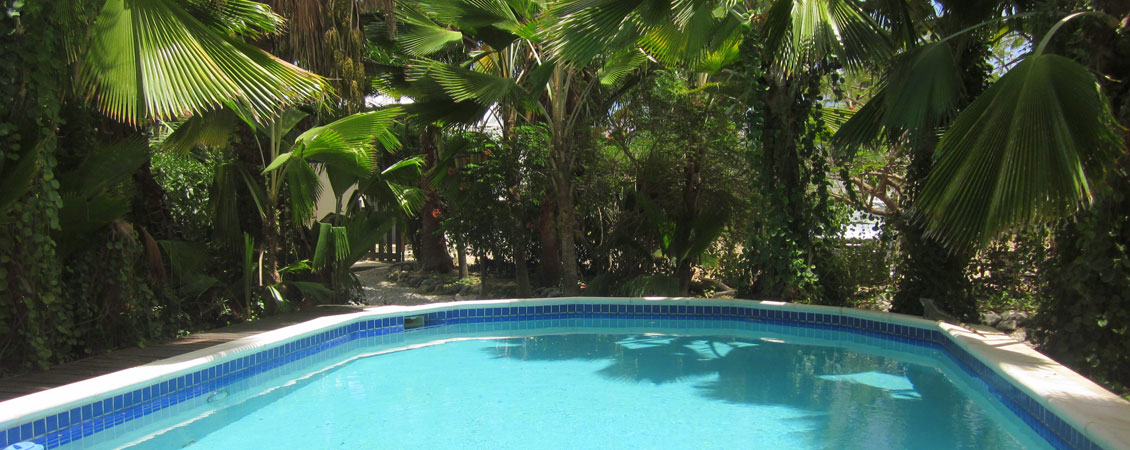 banner_karibik_bonaire_tropical_inn_appartement_divers_pool