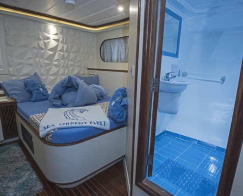 Sea Serpent Grand - Double Bed Lower Deck