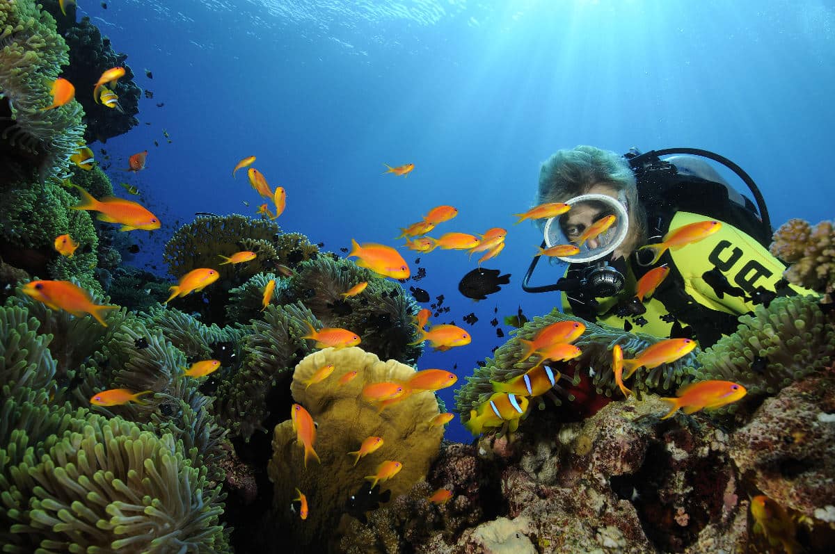 aegypten_rotes_meer_tauchen_11 | Nautilus Tauchreisen