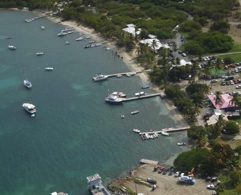 Karibik British Virgin Islands Tortola Nautilus Tauchreisen
