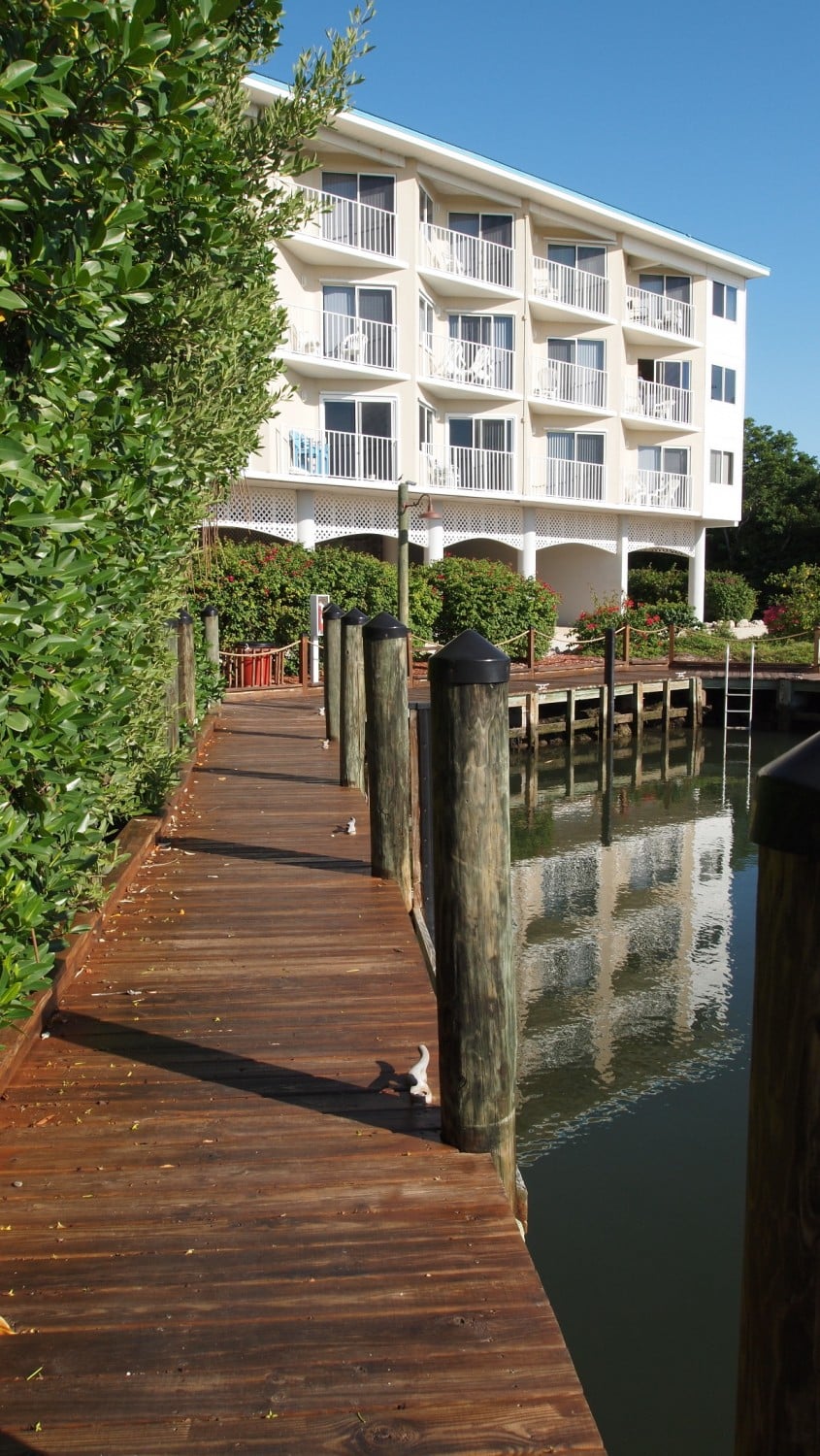 karibik_florida_key_largo__ocean_pointe_suites_tauchen37 Nautilus