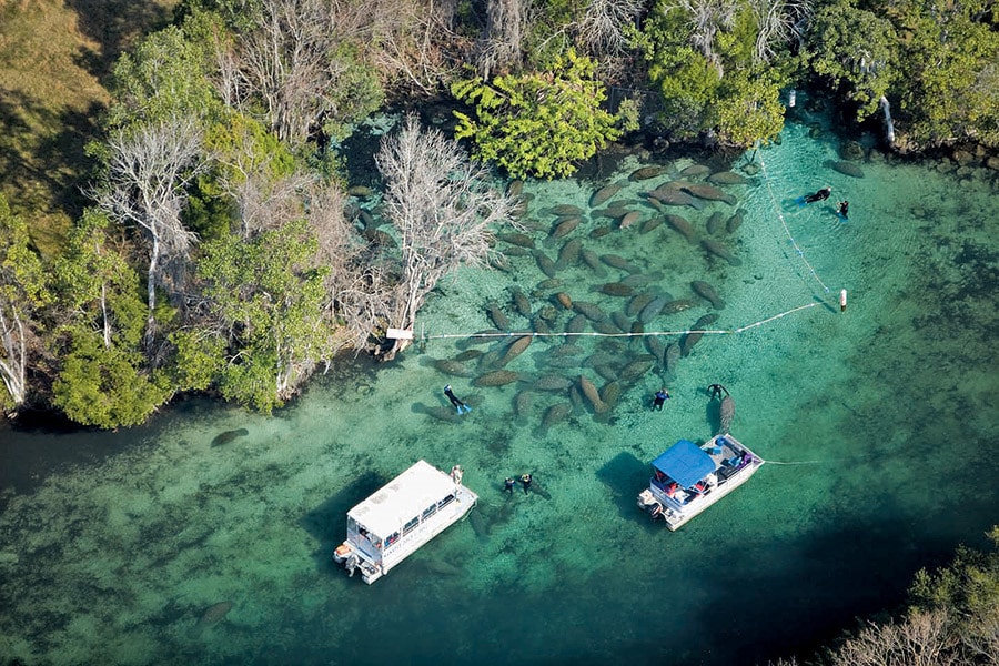 karibik_florida_key_largo_crystal_river_plantation _on_crystal_river