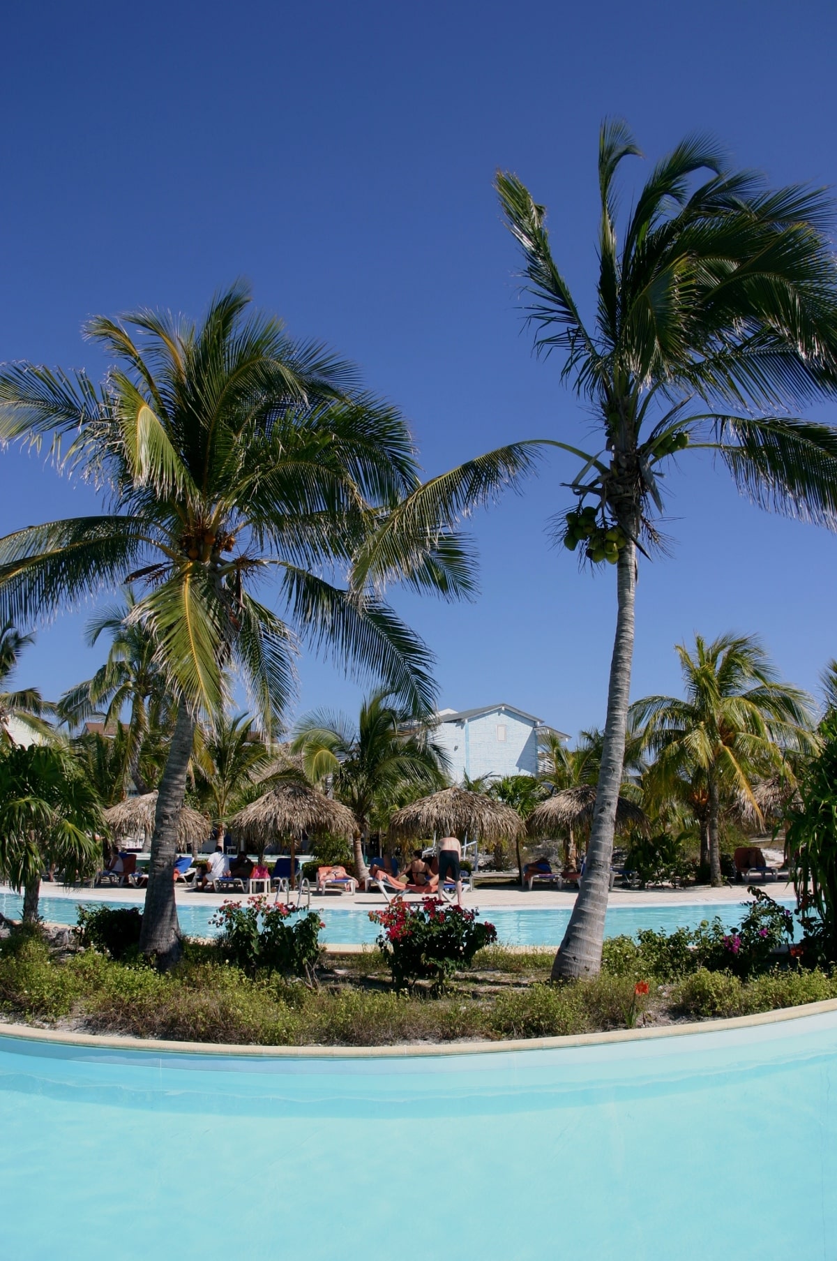 Nautilus Tauchreisen