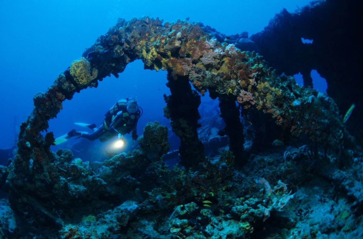 Karibik Kuba Tauchen Unterwasser Santa Lucia55 Nautilus Tauchreisen