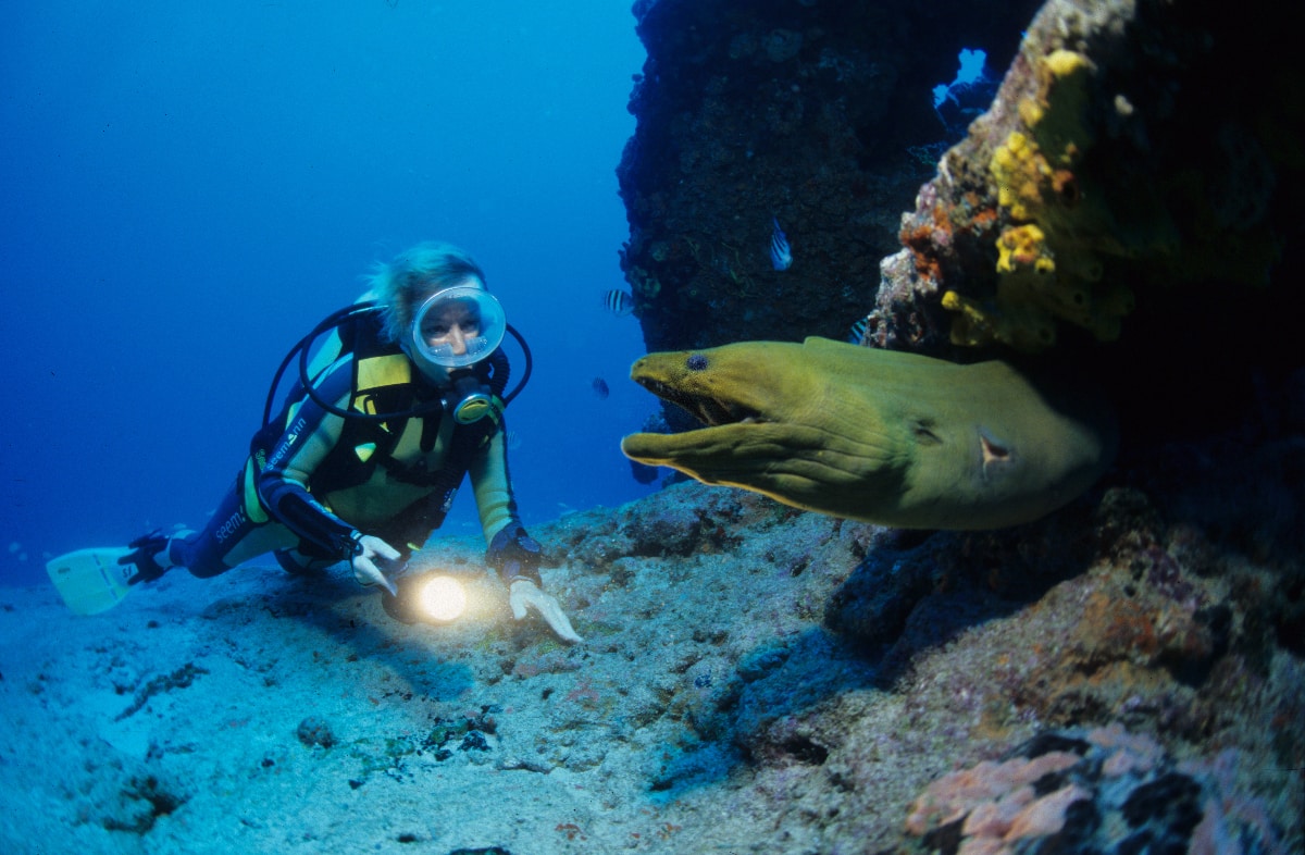 Karibik Kuba Tauchen Unterwasser Santa Lucia56 Nautilus Tauchreisen