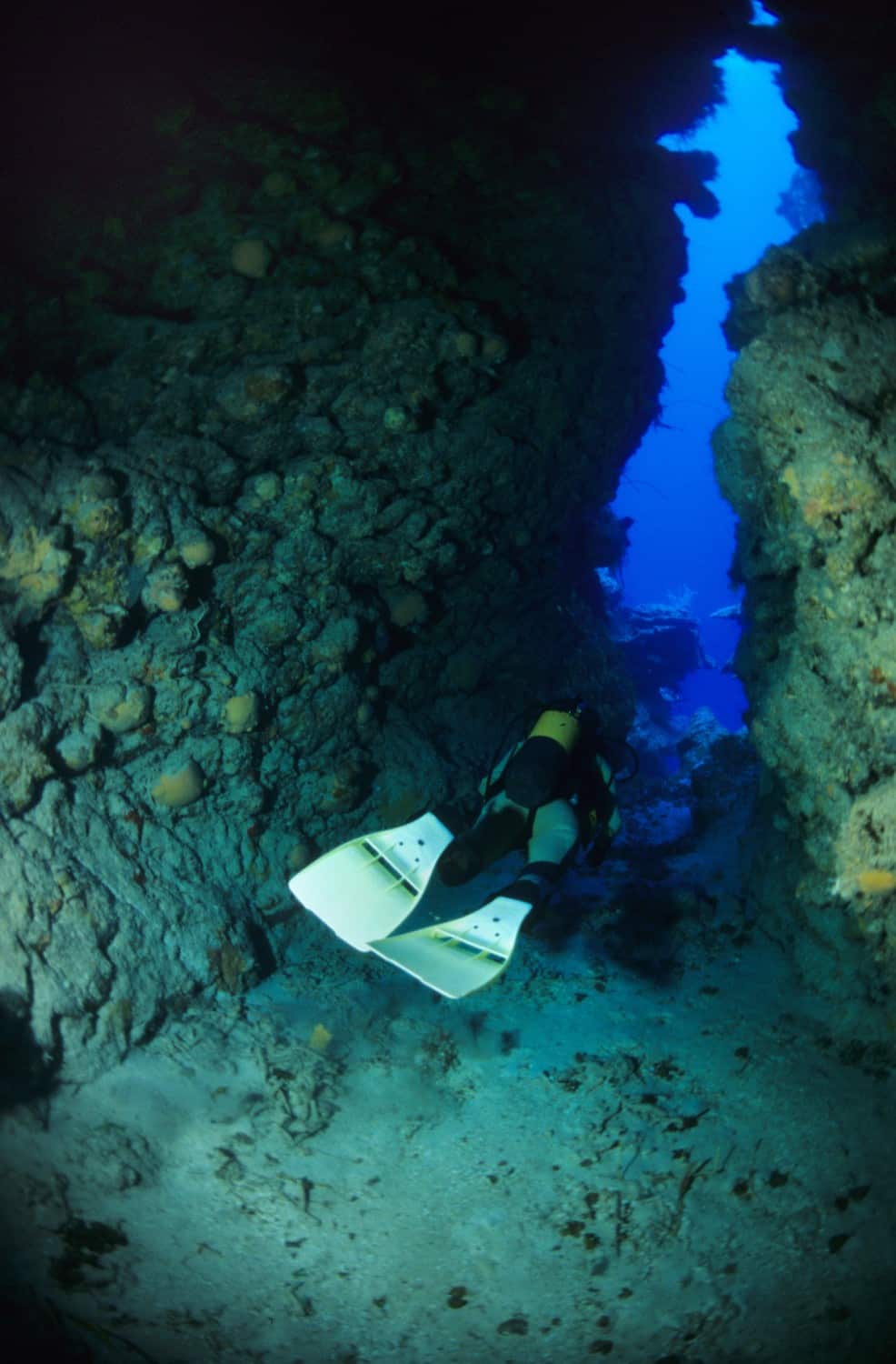 Karibik Kuba Tauchen Unterwasser Playa Giron Larga61 Nautilus Tauchreisen