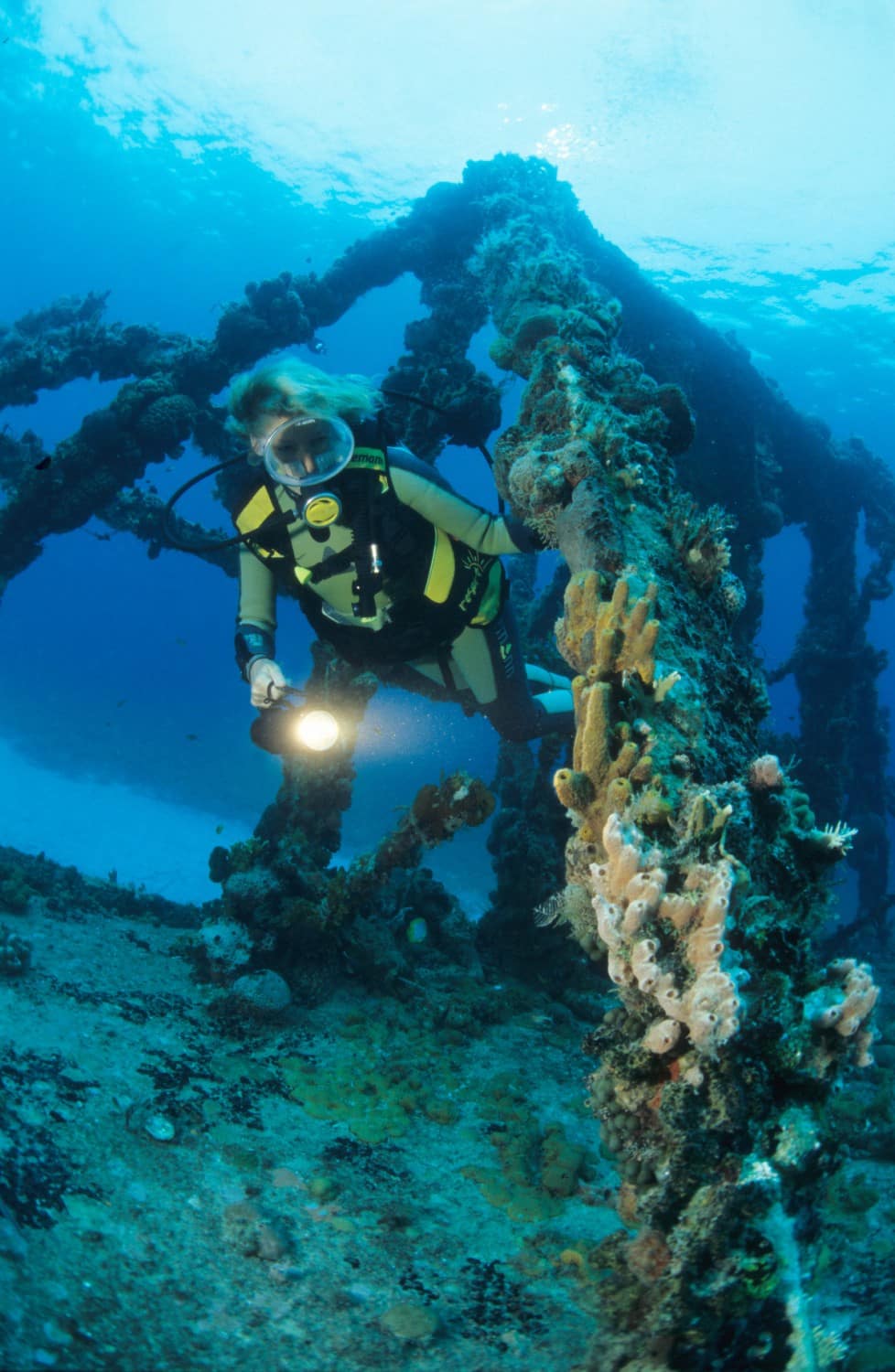 Karibik Kuba Tauchen Unterwasser Cayo Levisa63 Nautilus Tauchreisen